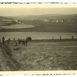 Bild1890 Feldarbeit am Hallborn