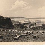 Bild1930