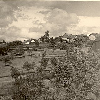 Bild0171 Blick auf die Streuobstwiesen des "Biengarten". Heute ist dort die Wohnstrasse "im Biengarten" Im Hintergrund die Pappeln der Villa in der Eltviller Strasse.