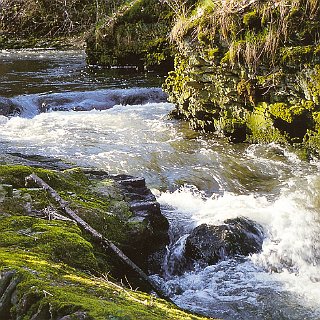 Bild0305 Der Wasserfall hinter der Stiftsmühle. Der Höhenunterschied zwischen der Unterquerung der Aarstrasse und der Brücke nach Seitzenhahn beträgt ca. 4m! Also ein...