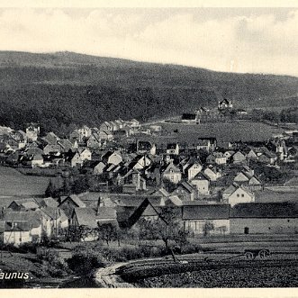 Hahn und sein Waldbahnhof Eiserne Hand